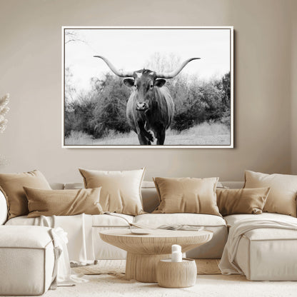Black and white photo of a longhorn cow in a field, perfect for rustic farmhouse or western-themed interior wall decoration.