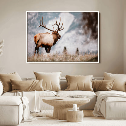 Majestic elk with large antlers standing in grass with snowy mountains in background, perfect for rustic cabin or lodge style decor.