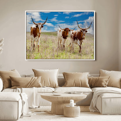Three Texas longhorn cattle standing in dry grass under a bright blue sky, ideal for farmhouse or western rustic home decor.