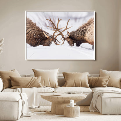 Two elk clashing antlers in a snowy forest, capturing raw power and wild energy, ideal for rustic cabin or lodge-style decor.