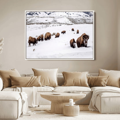 A herd of bison walking through deep snow in a mountain valley, perfect for rustic, cabin or western-themed wall decor.