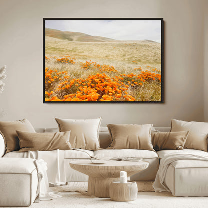 A golden field with vibrant orange poppies blooming across rolling hills under a soft, sunlit sky, creating a warm and rustic landscape.
