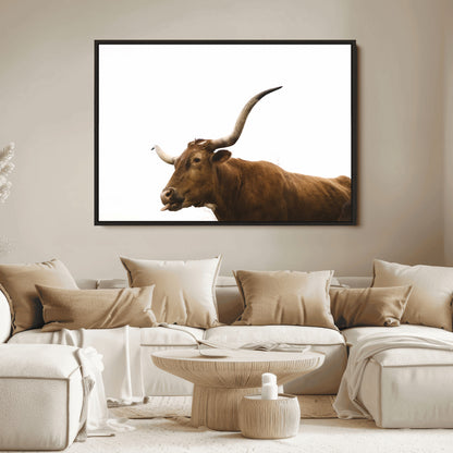 Minimal photo of a longhorn cow with white background, ideal for rustic, western or farmhouse-style interior decor.