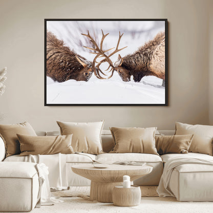 Two elk clashing antlers in a snowy forest, capturing raw power and wild energy, ideal for rustic cabin or lodge-style decor.