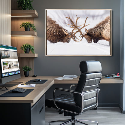 Two elk clashing antlers in a snowy forest, capturing raw power and wild energy, ideal for rustic cabin or lodge-style decor.