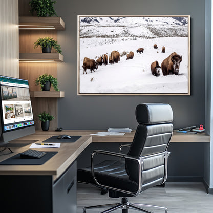 A herd of bison walking through deep snow in a mountain valley, perfect for rustic, cabin or western-themed wall decor.