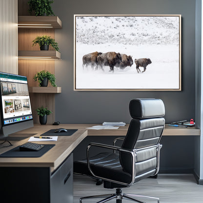 Bison herd running through a snowy open field with mountain backdrop, perfect for rustic or western-themed wall decoration.