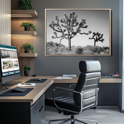 Black and white Joshua trees in a rugged desert landscape, creating a calm and minimalist feel for natural or rustic-themed interiors.