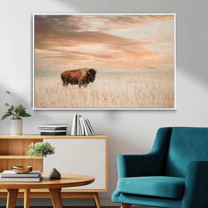 Bison Wall Art Print - Buffalo Canvas Print, featuring a lone bison in a golden prairie under a warm sunset sky, perfect for rustic and farmhouse decor.