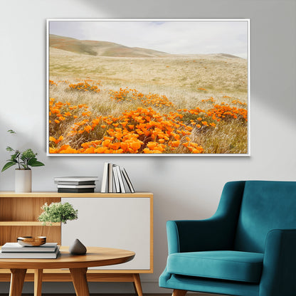 A golden field with vibrant orange poppies blooming across rolling hills under a soft, sunlit sky, creating a warm and rustic landscape.