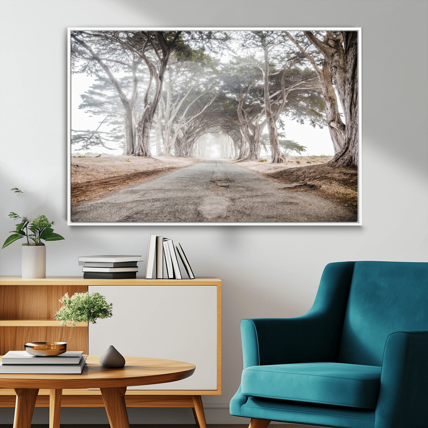 Canvas of a misty tree tunnel with arching cypress trees and an earthy road, ideal for rustic or coastal nature decor.