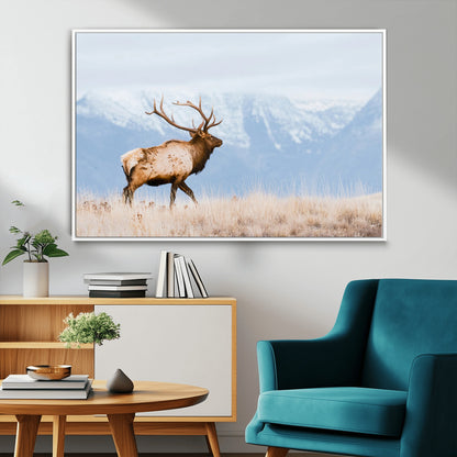 An elk walking on snowy grassland with majestic mountains in the background, ideal for rustic lodge or cabin wall decor.