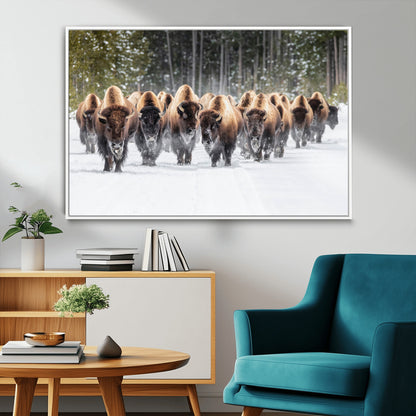 A herd of American bisons walking through a snowy forest path, perfect for rustic cabin or Western-themed wall decor.