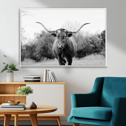 Black and white photo of a longhorn cow in a field, perfect for rustic farmhouse or western-themed interior wall decoration.