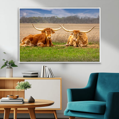 Two longhorn cows lying on green grass in front of a golden field and trees under a blue sky, perfect for rustic country wall decor.