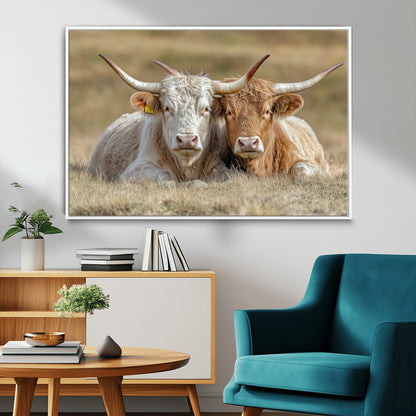Two cows laying closely in a dry grassy field, captured in soft light, perfect for rustic farmhouse or western style home decor.