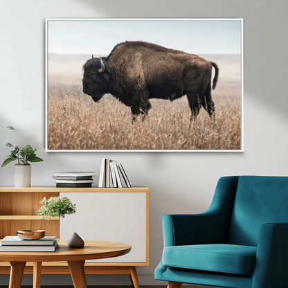 A lone bison stands in a vast prairie under a soft sky, evoking freedom and rustic charm for western or farmhouse inspired interiors.