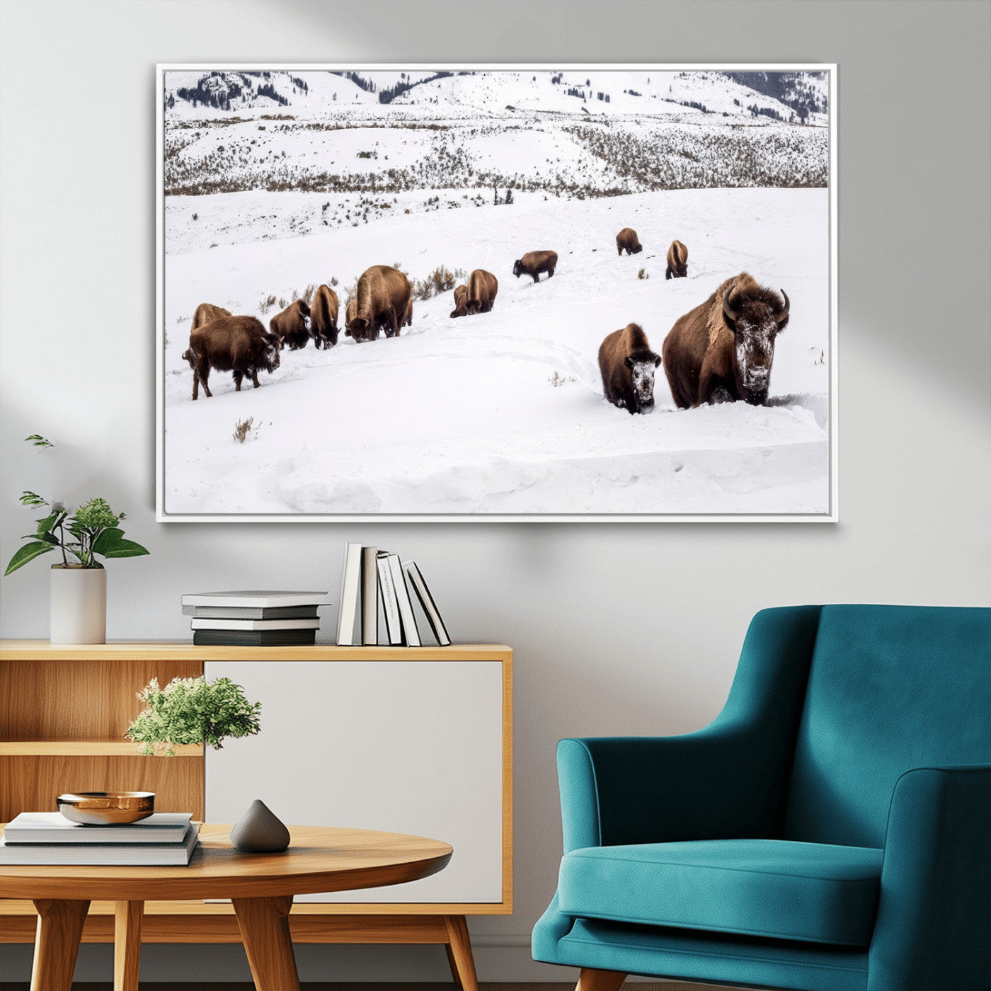 A herd of bison walking through deep snow in a mountain valley, perfect for rustic, cabin or western-themed wall decor.