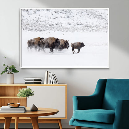 Bison herd running through a snowy open field with mountain backdrop, perfect for rustic or western-themed wall decoration.