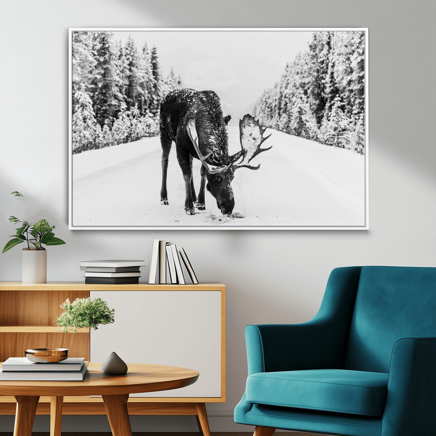 A majestic moose grazing in the snow-covered wilderness, surrounded by snow-covered trees, creating a peaceful winter scene.