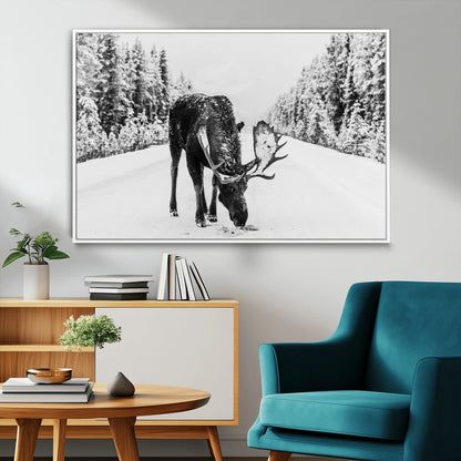 A majestic moose grazing in the snow-covered wilderness, surrounded by snow-covered trees, creating a peaceful winter scene.