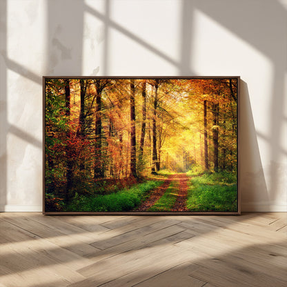 73494-MGV-CV-36X24-Golden Autumn Forest Path Wall Art – Sunlit Woodland Canvas Print, Fall Nature Landscape Home Decor