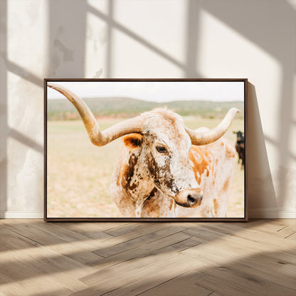 Close-up of a speckled Texas Longhorn in warm prairie tones, perfect for rustic western or countryside-themed room decor.