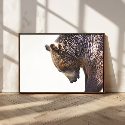 Majestic Bear Portrait - Capture the raw beauty of a bear in a detailed close-up, perfect for your Wall Art Canvas Print collection