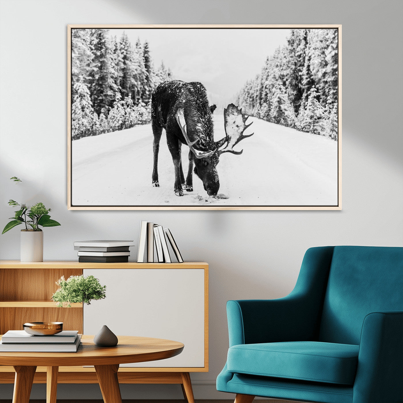 A majestic moose grazing in the snow-covered wilderness, surrounded by snow-covered trees, creating a peaceful winter scene.