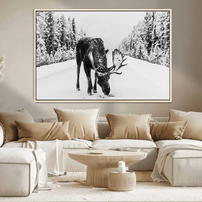 A majestic moose grazing in the snow-covered wilderness, surrounded by snow-covered trees, creating a peaceful winter scene.