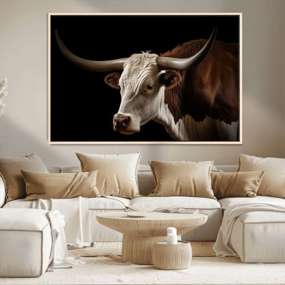 "Close-up of a brown and white longhorn cow with prominent curved horns against a black background."