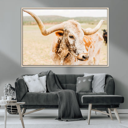 Close-up of a speckled Texas Longhorn in warm prairie tones, perfect for rustic western or countryside-themed room decor.
