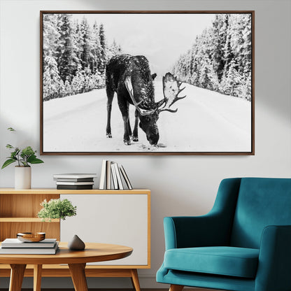 A majestic moose grazing in the snow-covered wilderness, surrounded by snow-covered trees, creating a peaceful winter scene.