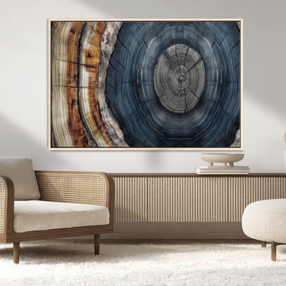 A stunning close-up of a tree trunk showing the intricate, circular growth rings, showcasing the natural textures and rich contrasts in deep blues, browns, and silvers.