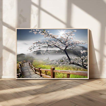 Sakura Cherry Blossom Pathway Canvas Wall Art – Tranquil Walk Through Blossoming Nature – Ready to Hang