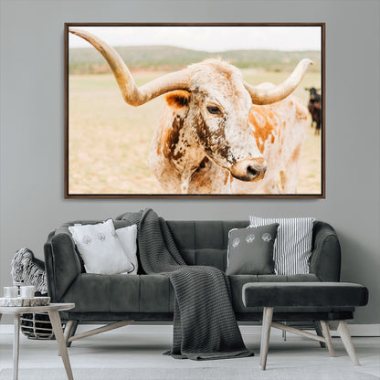 Close-up of a speckled Texas Longhorn in warm prairie tones, perfect for rustic western or countryside-themed room decor.