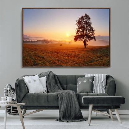 A tranquil landscape at sunrise with a mist-covered field and a lone tree, creating a peaceful and natural atmosphere.