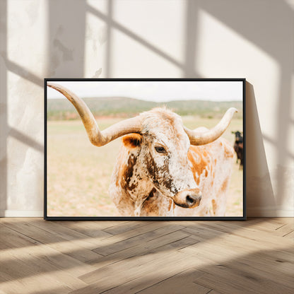 Close-up of a speckled Texas Longhorn in warm prairie tones, perfect for rustic western or countryside-themed room decor.