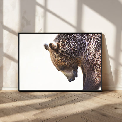 Majestic Bear Portrait - Capture the raw beauty of a bear in a detailed close-up, perfect for your Wall Art Canvas Print collection