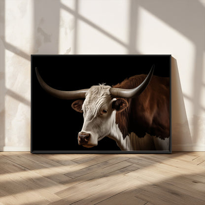 "Close-up of a brown and white longhorn cow with prominent curved horns against a black background."
