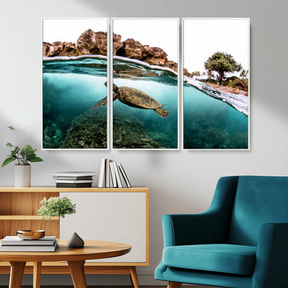 Dynamic split-view photo of a sea turtle swimming near rocky shores, perfect for vibrant coastal or tropical beach home decor.