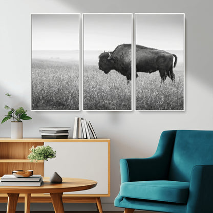A black and white photograph of a majestic bison standing in a vast grassy prairie, evoking a sense of wilderness and strength.