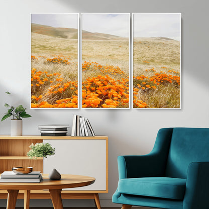 A golden field with vibrant orange poppies blooming across rolling hills under a soft, sunlit sky, creating a warm and rustic landscape.