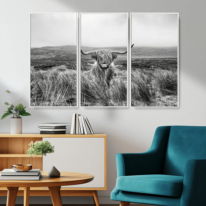 A black and white portrait of a Highland cow in a foggy Scottish countryside, capturing a rustic aesthetic and tranquil farm escape.