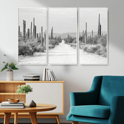 A black and white desert road stretching through a cactus-filled landscape, creating a rugged and timeless southwestern aesthetic with a sense of adventure.