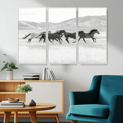 A black and white image of wild horses running freely across an open grassland, capturing the power and beauty of untamed nature in a rustic western setting.