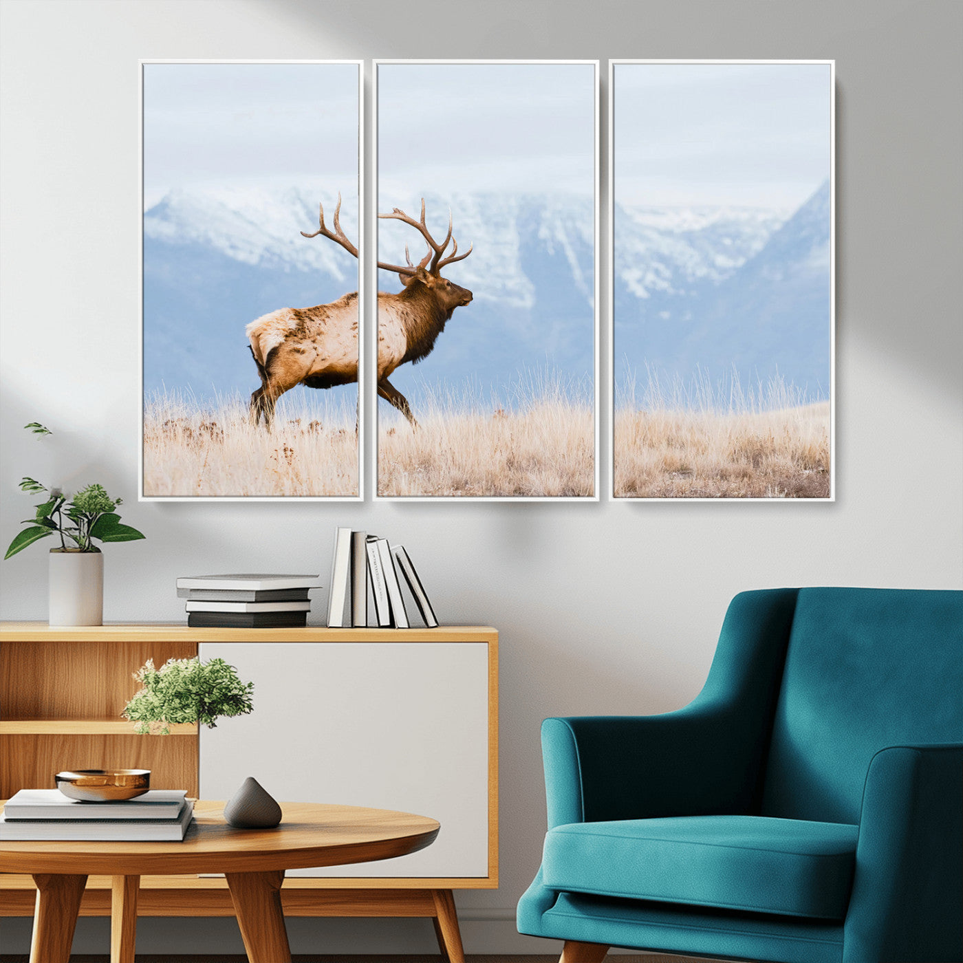 An elk walking on snowy grassland with majestic mountains in the background, ideal for rustic lodge or cabin wall decor.