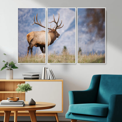 Elk with antlers standing on grass with mountain background, ideal for rustic, cabin, or lodge-inspired wall decor.