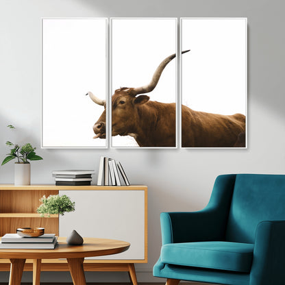 Minimal photo of a longhorn cow with white background, ideal for rustic, western or farmhouse-style interior decor.