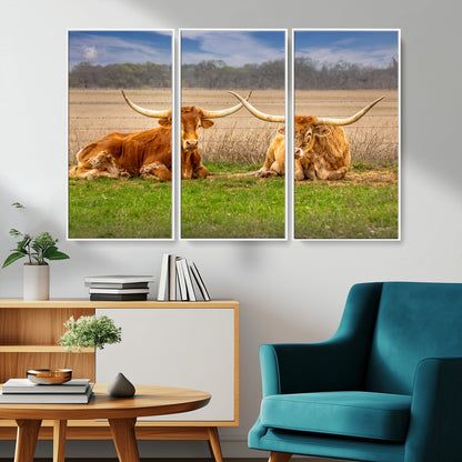 Two longhorn cows lying on green grass in front of a golden field and trees under a blue sky, perfect for rustic country wall decor.